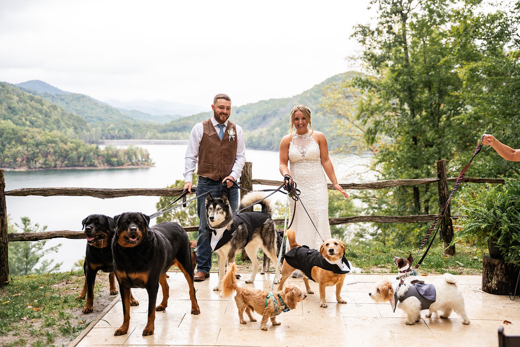Kara&Wes_MHarrisPhoto_sneakpeek-20 A dog in a wedding ceremony is sweet, but how about 9 dogs in a wedding! This couple wanted to bring their farm, I wish they had brought their duck, but they settled on all the dogs. Not only little dogs, big dogs and all their medium dog friends. Best wedding ever!